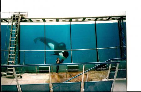 Marineland